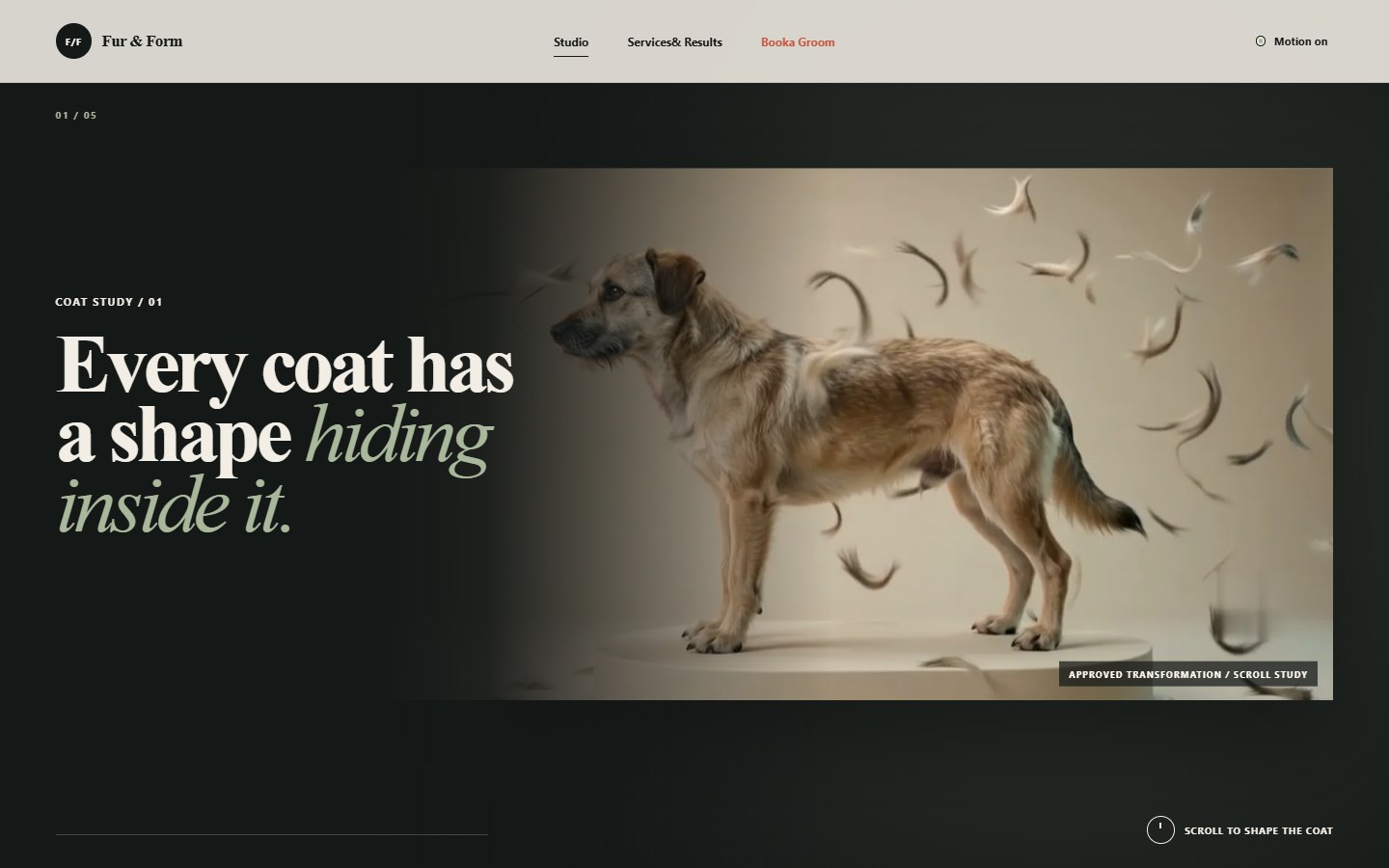 Fur and Form website showing a dog inside an editorial coat transformation study