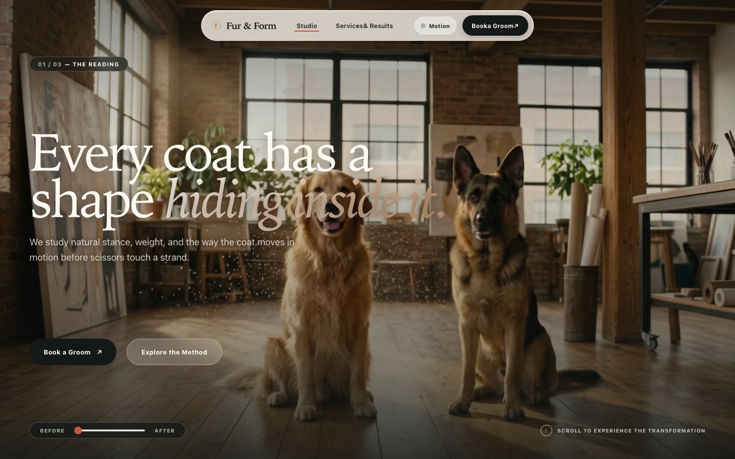 Fur and Form website showing two dogs in an editorial coat transformation study